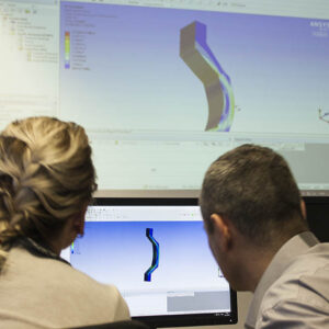 Trainers in FEM ANSYS Workshop