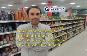 Agile management