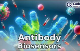 Antibody bisensors