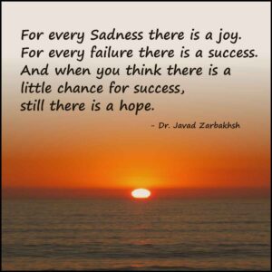Success Failure Hope Sadness joy Javad Zarbakhsh Quote