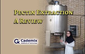 Maryam Vanaee Pectin Extraction Review Cademix Magazine Article