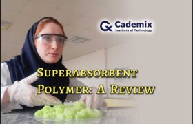 Maryam vanaee Superabsorbent polymerpolymer