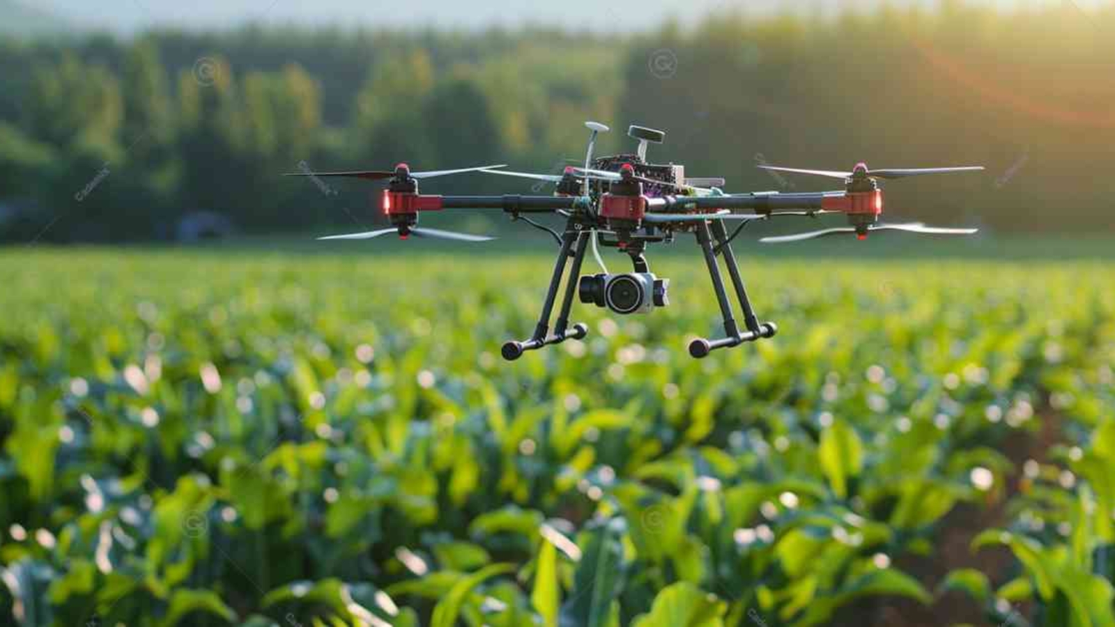 new technology in agriculture, agricultural innovation, future trends in agriculture, Hype Cycle in agriculture, agtech, smart farming, precision agriculture